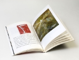 <b>Libro di fiabe</b><br><br>formato 15x21 cm<br>
copertina stampata a 4 colori <br>carta patinata opaca da 350 gr<br>
interno stampato a 4 colori <br>carta patinata opaca da 130 gr<br>
confezione brossura cucita filo refe